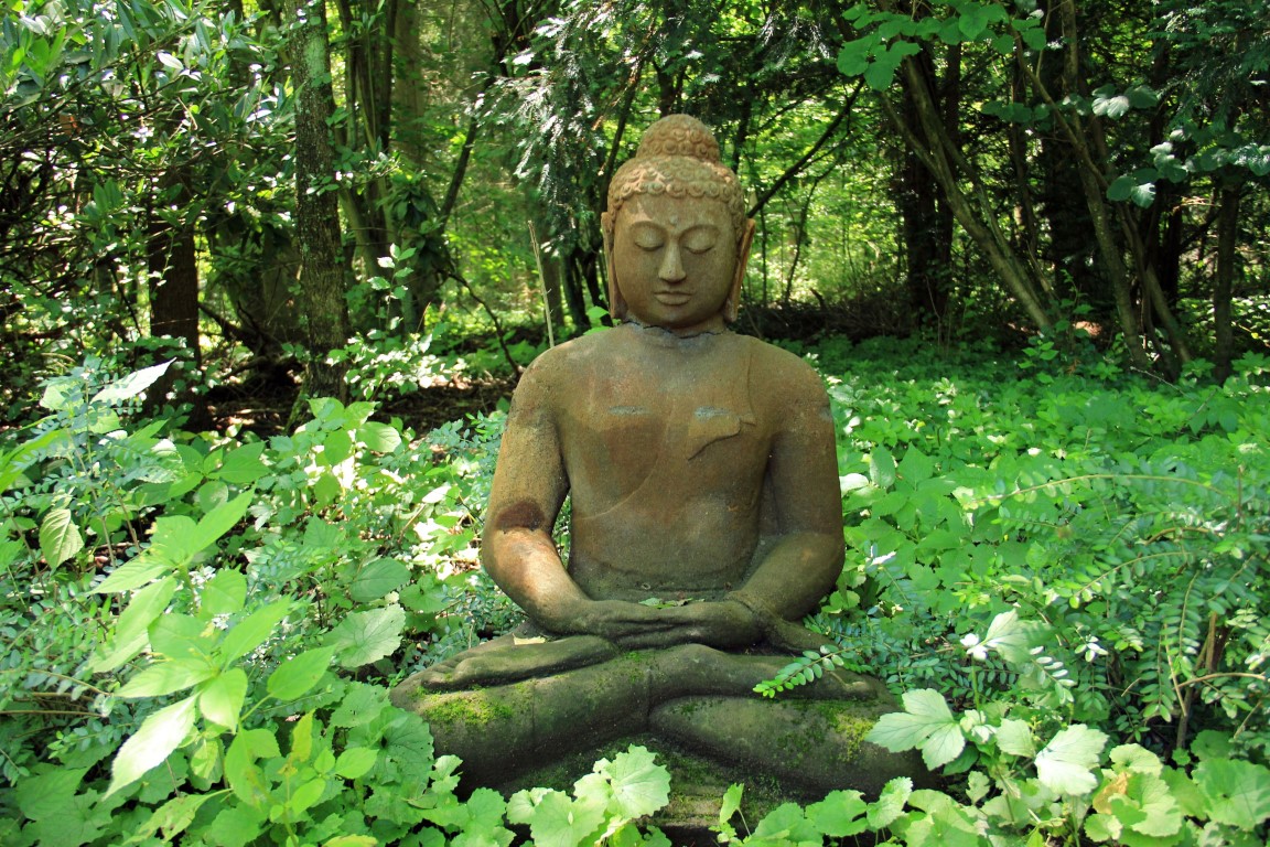 buda meditatie - GroenvanHart